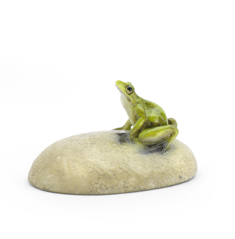 Frog On A Stone