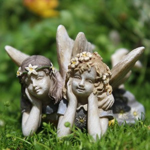 Fairy Iris & Lyla