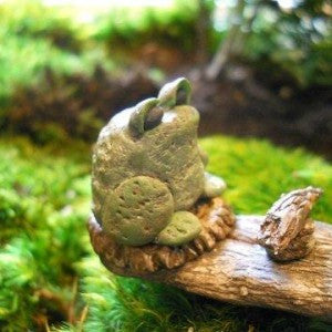 Mini Frog – Pond PIants Online
