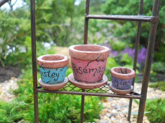 tiny pots for plants Miniature Garden Pots – Pond PIants Online