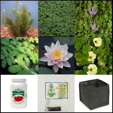 Small Water Garden Complete Collection | 25 -  150 Gal
