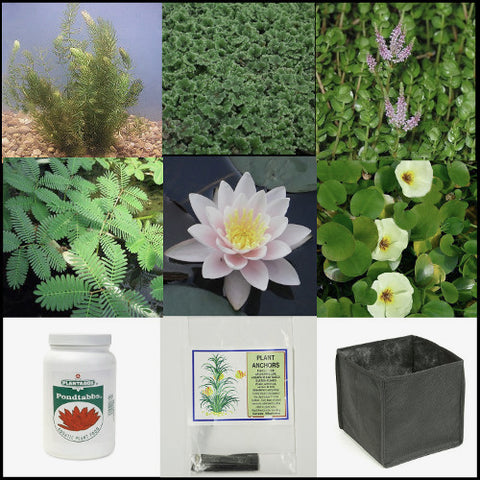 Small Water Garden Complete Collection | 25 - 150 Gal