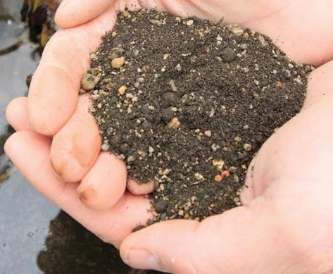 Aquascape Planting Media – Pond PIants Online