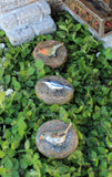 Fairy Garden Bird Stepping Stones – set of 3