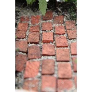 Fairy Path Bricks