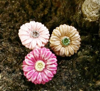 Colorful Daisies On A Pick | Set of Three