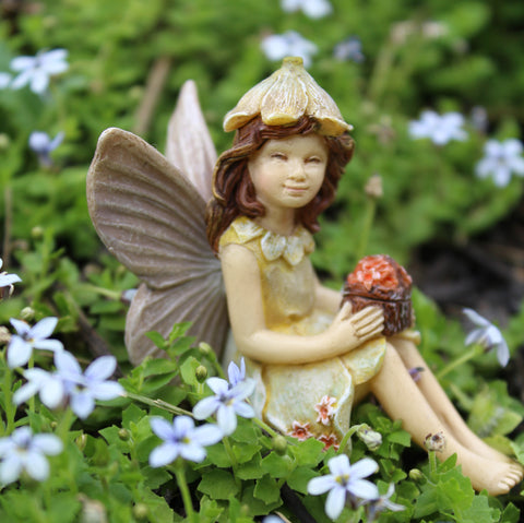 Fairy Daffodil