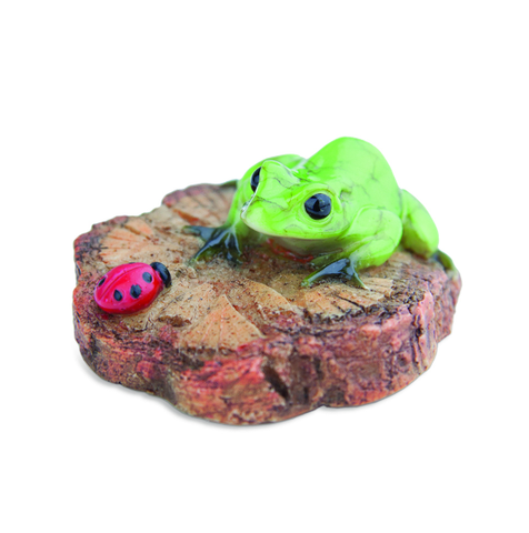 Frog and Ladybug on a Wood Chip