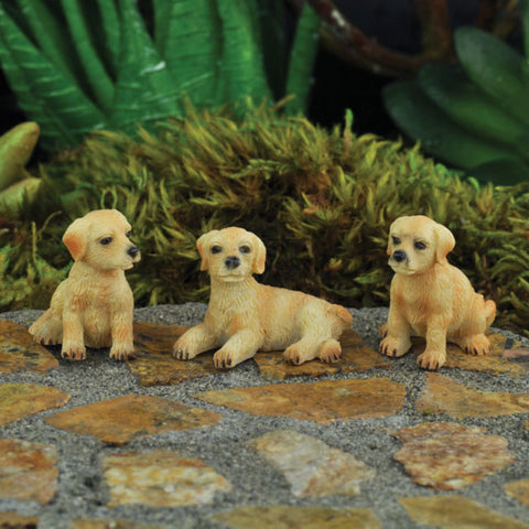 Mini Hound Dogs | Set of 3 Asst.