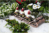 Fairy Toboggan