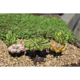 Blossom Bistro 3 PC Set