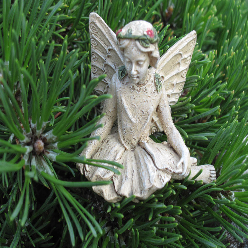 Fairy##marm Fairy Miriam – Pond PIants Online